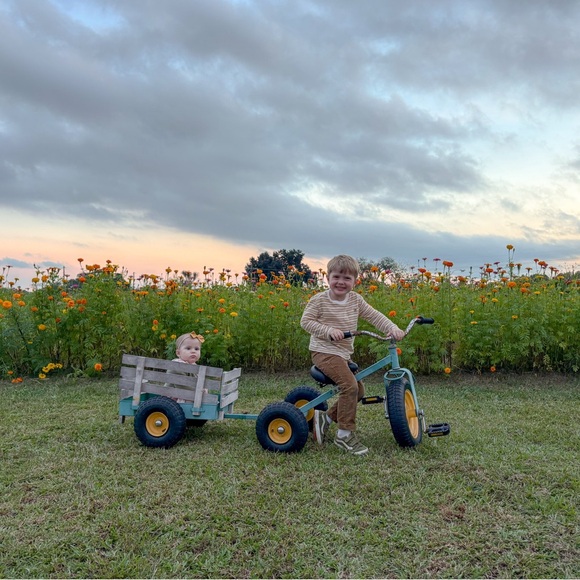 posh ambassador, olivia roy! - Picture 13 of 16